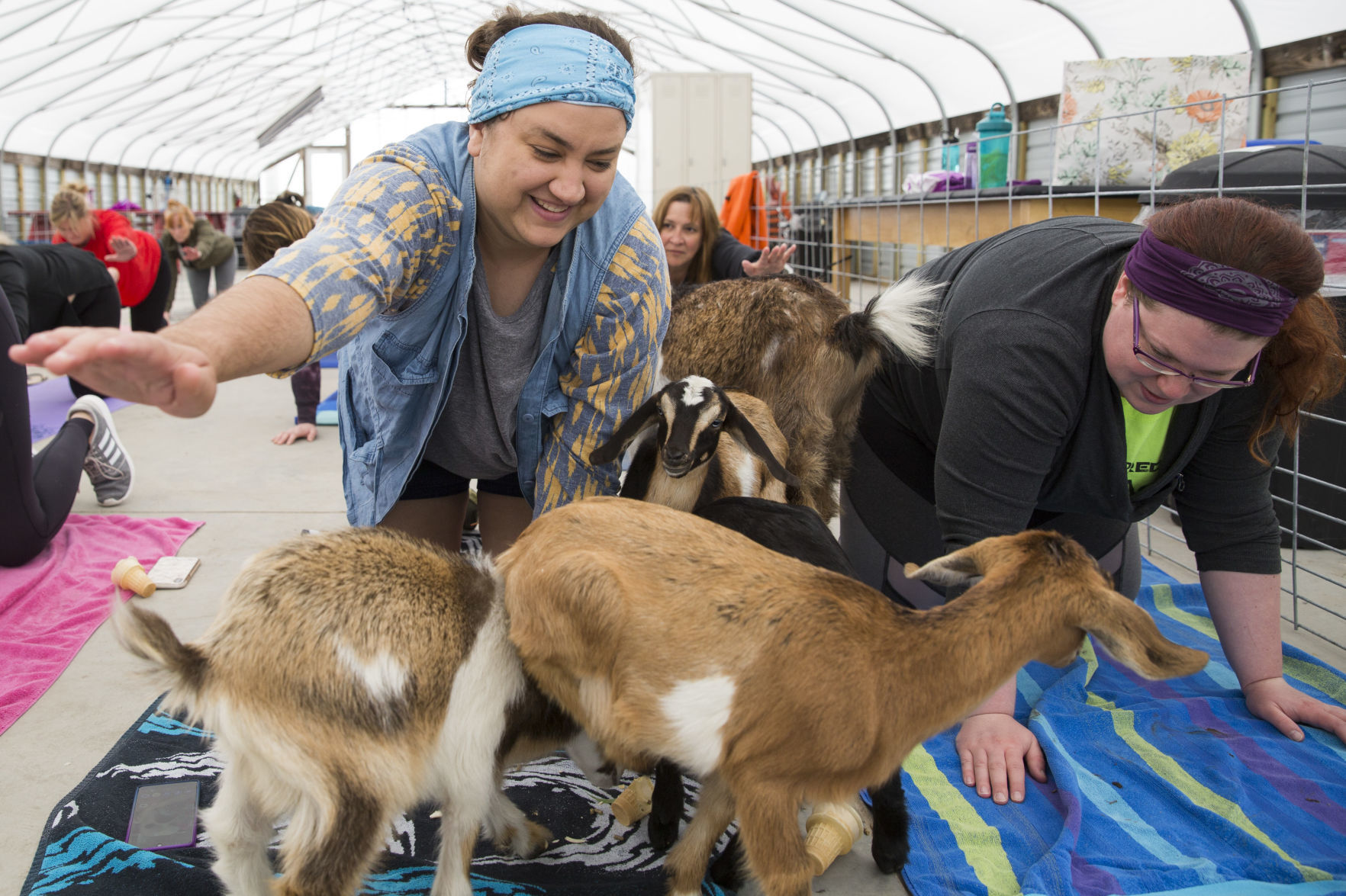 051819kw-goat-yoga-03